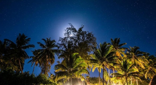 Pongwe Beach Hotel image 6